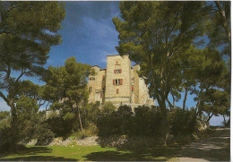 MEYRARGUES - Château Albertas - Vue Du Parc - Meyrargues