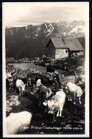 G3447 - Mathon Verwall Friedrichshafener Hütte - Willi Hans Schwarz - Deutscher Und Österreichischer Alpenverein - Ischgl