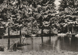 Louette-St-Pierre : Centre De Vacances YWCA - Gedinne