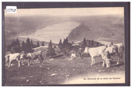 DISTRICT DE LA VALLEE - SOMMET DE LA DENT DE VAULION ET LAC DE JOUX - VACHES - TB - Vaulion