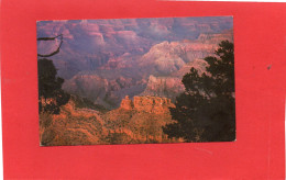 ETATS-UNIS----ARIZONA--GRAND CANYON OF ARIZONA--AFTER THE SUN GOES DOWN--voir 2 Scans - Gran Cañon