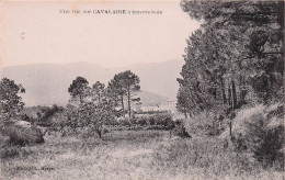 Cavalaire Sur Mer - Vue A Travers Les Bois  - CPA °J - Cavalaire-sur-Mer