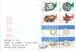 NETHLERLANDS - 2023 , STAMPS COVER TO DUBAI. - Lettres & Documents