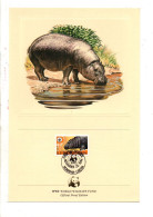 WWF LIBERIA 1984 HIPPOPOTAME NAIN - Covers & Documents