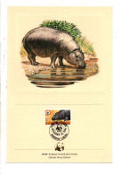 WWF LIBERIA 1984 HIPPOPOTAME NAIN - Lettres & Documents