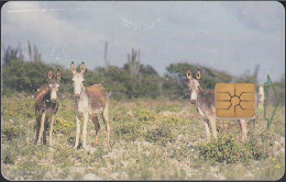 Netherland - Antilles - Bonariano  BON 13 - Donkeys - 20 Units - Antilles (Neérlandaises)