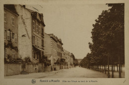 Remich  (Luxembourg)  Allee Des Tileuls Au Bord De La Moselle 1929 - Remich