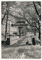 CPM - HAUTEVILLE-LOMPNES (Ain) - Entrée Du Château D'Angeville, L'hiver - Unclassified