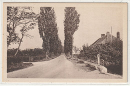 19 DEPT 41 : édit. Cim : Marchenoir Route De Beaugency - Marchenoir