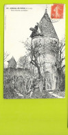 CUBZAC Les PONTS Vieux Moulins En Ruines (Nardot) Gironde (33) - Cubzac-les-Ponts