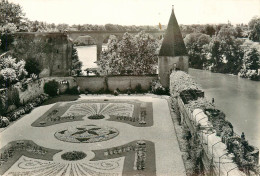 CPSM Albi-Jardin De L'archevêché    L2245 - Albi