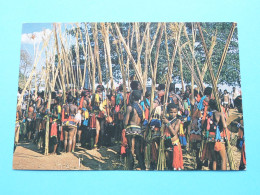 Young Girls With Their Reeds At Annual REED DANCE > SWAZILAND ( Uitg.: Honey Hill ) Anno 1978 ( Voir Scans ) ! - Swaziland