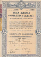 AZIONI - BANCA AGRICOLA COOPERATIVA DI CANICATTI - Agricoltura