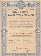 AZIONI - BANCA AGRICOLA COOPERATIVA DI CANICATTI - Agriculture