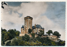 CPSM - POLMINHAC (Cantal) - Le Château De Pesteils - Sonstige & Ohne Zuordnung