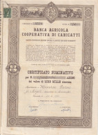 AZIONI - BANCA AGRICOLA COOPERATIVA DI CANICATTI - Landbouw