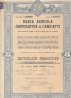 AZIONI - BANCA AGRICOLA COOPERATIVA DI CANICATTI - Agricoltura