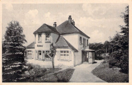 Gohrisch (Sächs.Schweiz) - Haus Birkenhof SST 1963 - Gohrisch