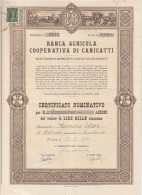 OBBLIGAZIONI - BANCA  AGRICOLA COOPERATIVA DI CANICATTI - Landbouw