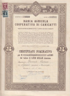 OBBLIGAZIONI - BANCA  AGRICOLA COOPERATIVA DI CANICATTI - Agricultura