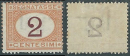 1870-74 REGNO SEGNATASSE 2 CENT CIFRA VIOLETTO SCURO MH * - RE28-2 - Strafport