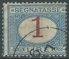 1890-94 REGNO SEGNATASSE USATO 1 LIRA - RE28-3 - Portomarken