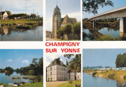 89, Chamigny Sur Yonne Et Ses Environs, Multivues - Champigny