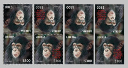 LIBERIA 2023 - TETE BECHE T-B PAIRS PERF & IMPERF (REGULAR & OVERPRINT) APES MONKEYS SINGES CHIMPANZEE CHIMPANZE MNH - Scimpanzé