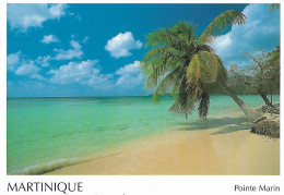 972 MARTINIQUE FRANCE POINTE MARIN PLAGE BORD DE MER PALMIER PAYSAGE PETITES ANTILLES ILES CARAIBES REGION D'OUTRE MER - Le Marin