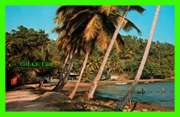 SAMANA, RÉPUBLIQUE DOMINICAINE - LA GUADA SWIMMING PLACE - BALNEARIO LA GUADA - LIBRERIA TONY - - Repubblica Dominicana