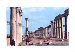 20487 " PALMYRE-COLONNADES-PALMYRA-COLUMNATES "VERA FOTO-CART. POST. NON SPED. - Syrie