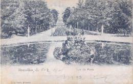 BELGIQUE - Bruxelles - Vue Du Parc - Carte Postale Ancienne - Foreste, Parchi, Giardini