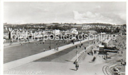 PAIGNTON THE ESPLANADE OLD R/P POSTCARD DEVON - Paignton