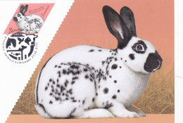 RABBITS, CM, MAXICARD, CARTES MAXIMUM, 2022, ROMANIA - Lapins