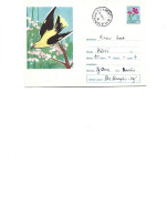 Romania - Postal Stationery Envelope Used 1964  -  Birds -   The Grangur (Oriole) - Colibris