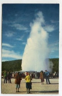 AK 134444 USA - Wyoming - Yellowstone National Park - Old Faithful Geyser - Yellowstone