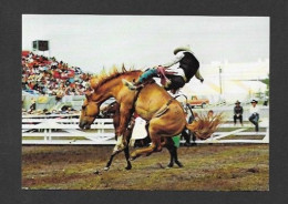 Calgary - Alberta - Calgary Exhibition & Stampede - The Calgary Exhibition And Stampete During July - Photo Morrison - Calgary