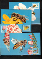 Germany / Deutschland DDR 1990 Honeybees Maximum Cards - Abeilles