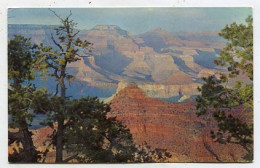 AK 134457 USA - Arizona - Grand Canyon - Yavapai Point - Gran Cañon