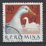 Roemenie Romania Romana Used ; Gans Goose Oie Ganso NOW MANY STAMPS OF ANIMALS FOR SALE - Oche