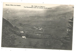 Cp, 15, Vallée Du FALGOUX , Vue Panoramique Prise De La Route Du PUY MARY, Vierge - Sonstige & Ohne Zuordnung
