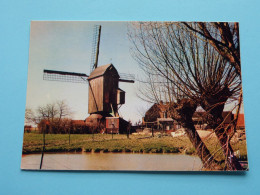 Moulin à Vent De La KRUYSTRAETE (Nord) > ( Edit. Yvon ) Anno 19?? ! - Steenvoorde