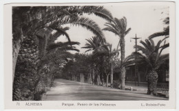 Almeria - Parque, Paseo De Las Palmeras - Almería
