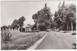 Putten - Voorthuizerstraat - (Gelderland, Nederland/Holland) - 1971 - Uitg.: Boekhandel Amsing, Putten - Putten