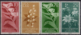 GUINEE ESPAGNOLE - Fleurs - Guinea Española