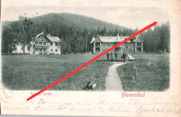 Delcampe - AK Blumenthal Kvetnica Schweizerhaus ? A Deutschendorf Poprad Spisska Teplica Hohe Tatra Vysoke Tatry Slowakei Slovensko - Slowakei