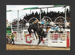 Calgary - Alberta - Calgary Exhibition & Stampede - Ride N Hight On A Bare Back Brone - Photo Calgary Exhibition - Calgary