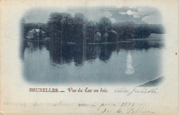 BELGIQUE - Bruxelles - Vue Du Lac Au Bois - Carte Postale Ancienne - Foreste, Parchi, Giardini