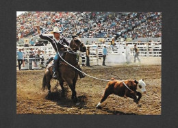 Calgary - Alberta - Calgary Exhibition & Stampede - Calf Roping Is One Of The Main  Features - Photo Calgary Exhibition - Calgary