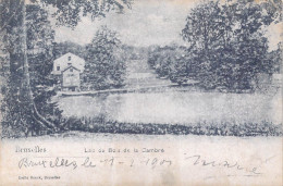 BELGIQUE - Bruxelles - Lac Du Bois De La Cambre - Carte Postale Ancienne - Parks, Gärten